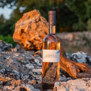 Rosé - Domaine des Monticoles - Le Vallon 2023