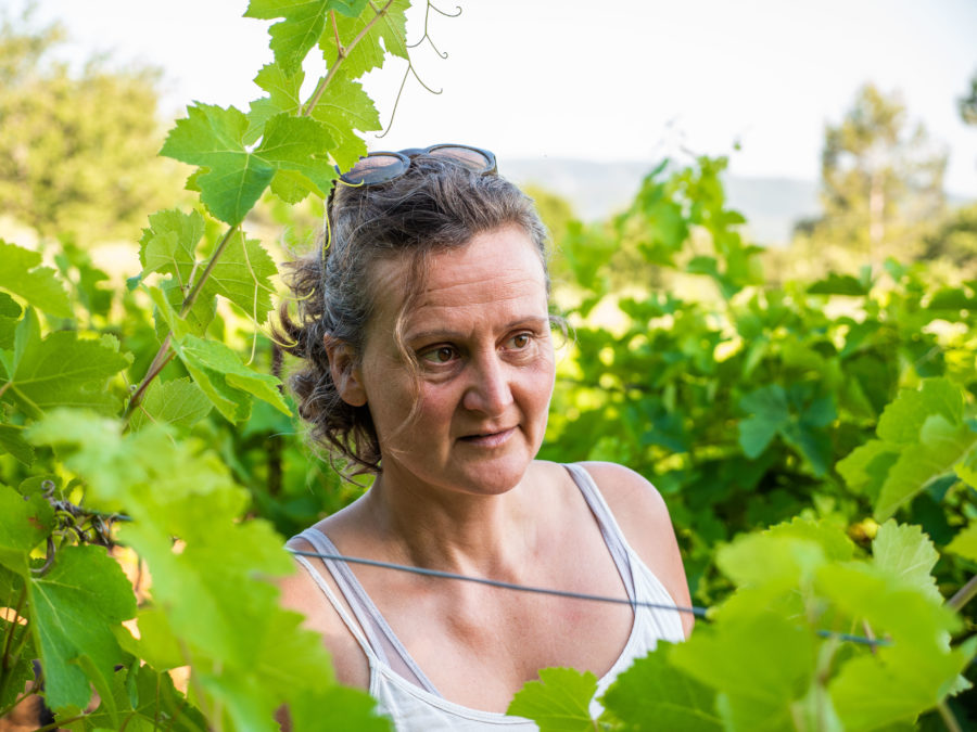 Blanc - Domaine des Monticoles - Le Vallon 2023 – Image 3