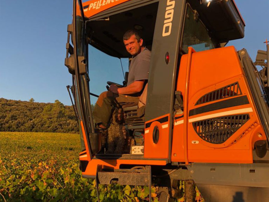 Blanc - Domaine des Monticoles - Le Vallon 2023 – Image 2