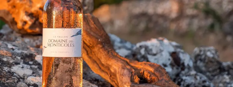 Vins de Domaines